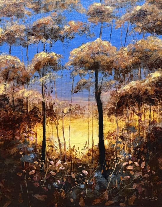 Sous-bois et ciel bleu
